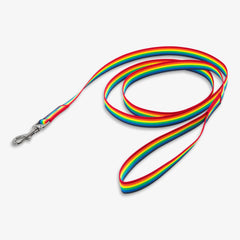 Clearance rainbow dog leash