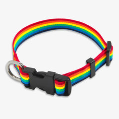 Clearance pet rainbow collar