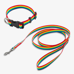 Clearance pet rainbow leash & collar set